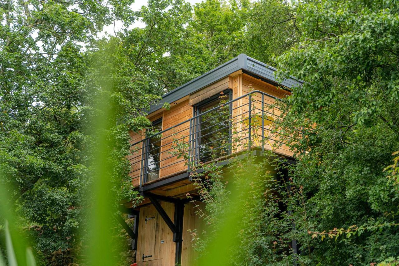 Le Moonloft Insolite Tiny-House Dans Les Arbres & 1 Seance De Sauna Pour 2 Avec Vue Panoramique Osenbach Bagian luar foto