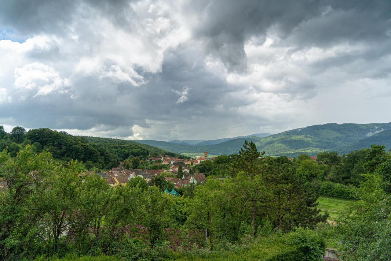 Le Moonloft Insolite Tiny-House Dans Les Arbres & 1 Seance De Sauna Pour 2 Avec Vue Panoramique Osenbach Bagian luar foto